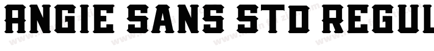 Angie Sans Std Regul字体转换